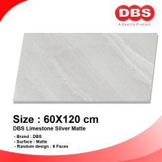 DBS GRANITE 60X120 NATURAL LIMESTONE SILVER M KW1 BOX/1.44M2