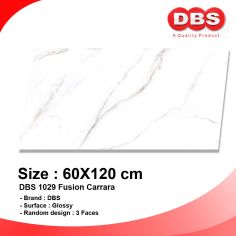 DBS Granite 1029 Fusion Carrara Kw1 60x120 Box/1.44m2