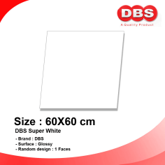 DBS GRANITE 60X60 SUPER WHITE BOX/1.44M2