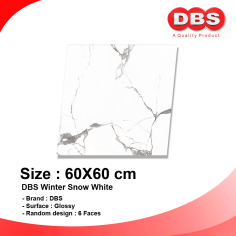 DBS GRANITE 60X60 WINTER SNOW WHITE BOX/1.44M2