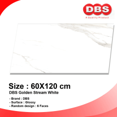 DBS GRANITE 60X120 GOLDEN STREAM WHITE BOX/1.44M2